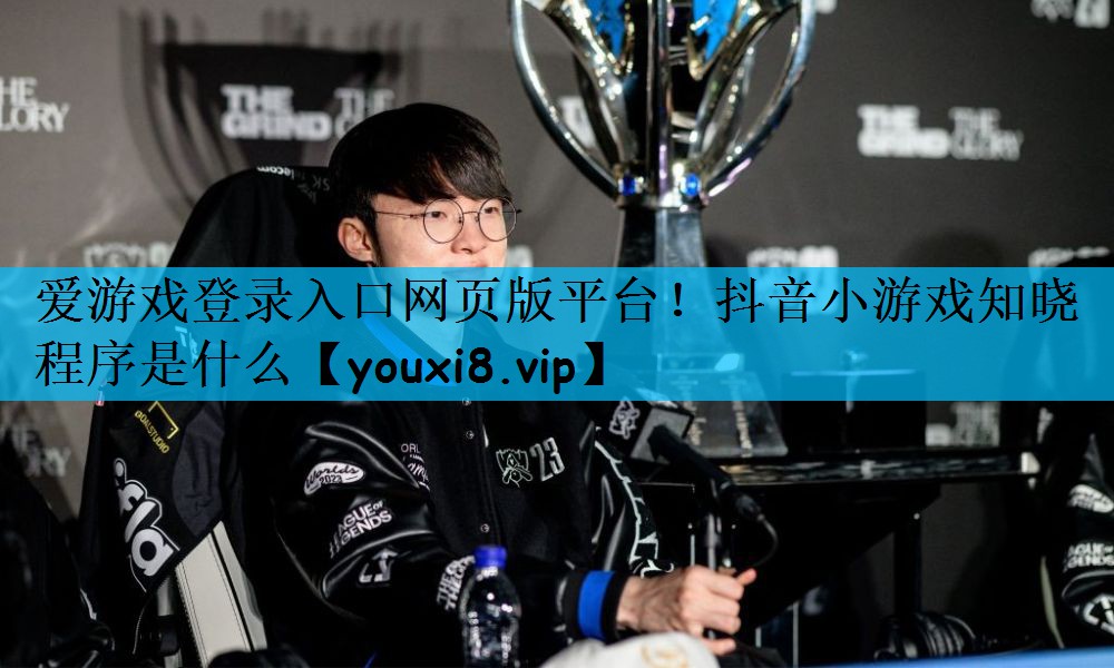 抖音小游戏知晓程序是什么